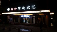 十月经典案例——百合清心水汇