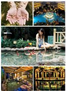 人气爆棚的“温泉酒店”一房难求的真正原因是什么 ?