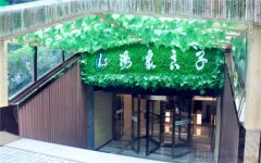 北京汤泉良子