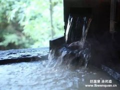 人工温泉机如何一步步进击市场