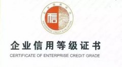 为诚信加冕！国内知名汤泉设备厂商获AA级信用评定！